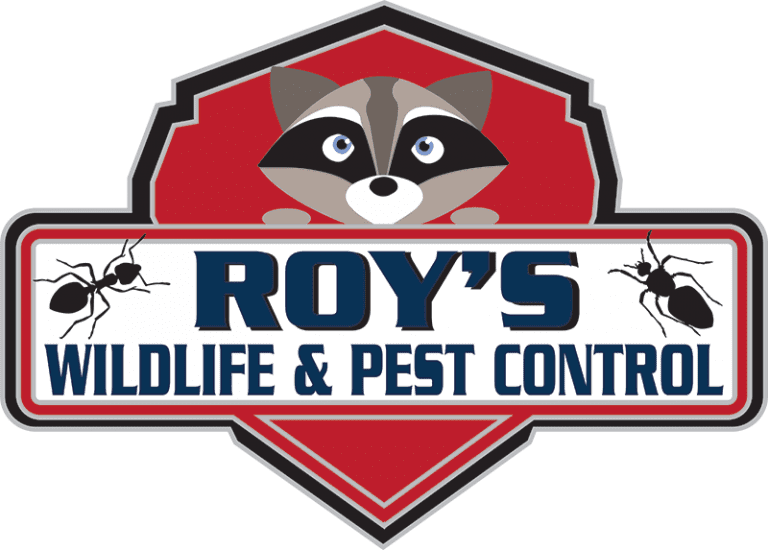 Pest Control Fort Myers, Fl., Roy's Wildlife and Pest Control